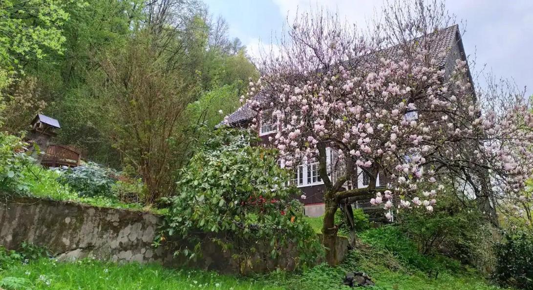 Haus Am Wald Zorge 16+ Gaeste Walkenried Luaran gambar
