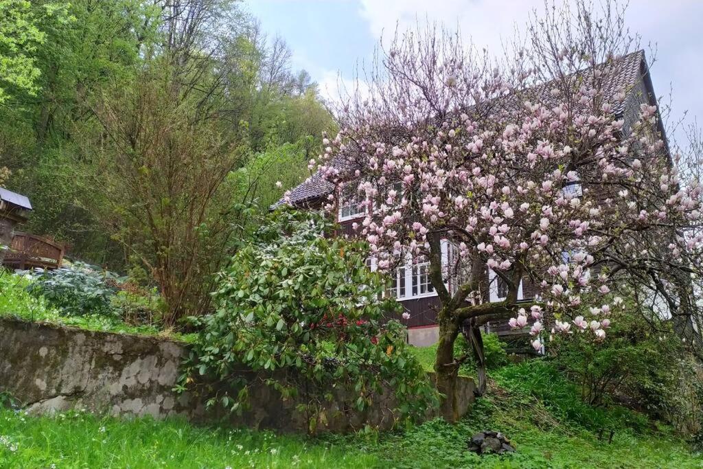 Haus Am Wald Zorge 16+ Gaeste Walkenried Luaran gambar